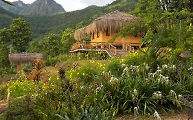 The Mudhouse Marayoor